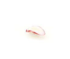 画像7: ミニチュアフード 握り寿司・一貫  (30%オフ) (7)