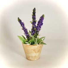 画像1: ミニチュア　ラベンター風紫色のお花の鉢植え (1)