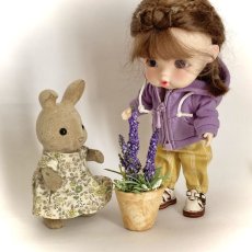 画像4: ミニチュア　ラベンター風紫色のお花の鉢植え (4)