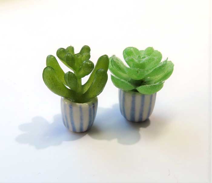 多肉鉢植え2ケセット マーブルチョコ