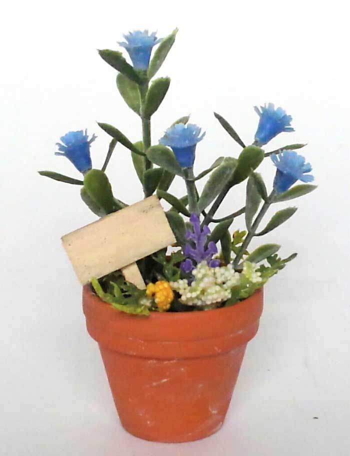 青いお花の鉢植え マーブルチョコ