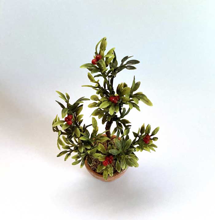 画像3: 観葉植物（赤い実）