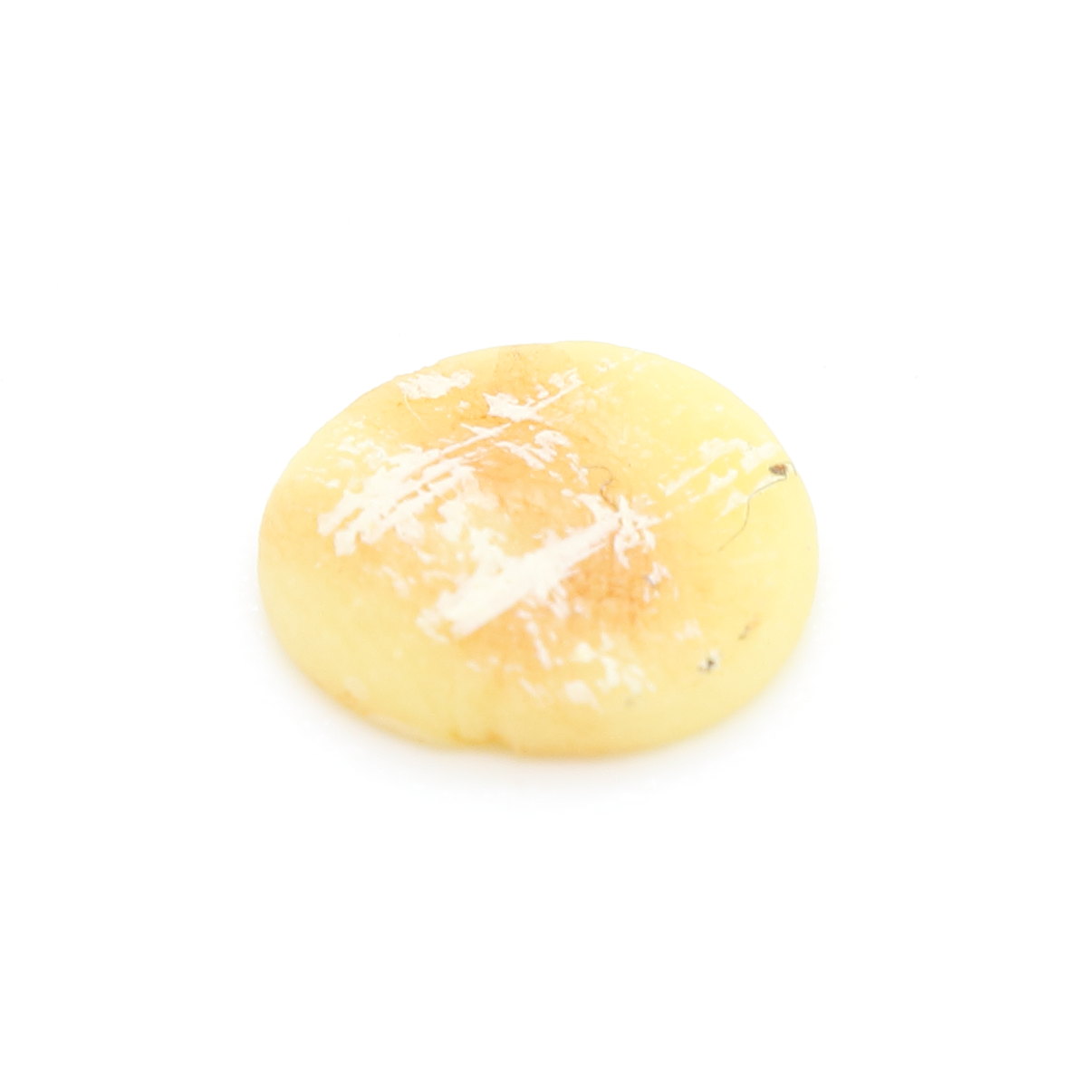 画像1: ミニチュアお菓子 和菓子 お煎餅(サラダ) (1)